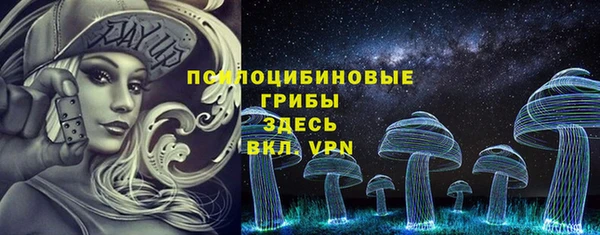 тгк Алзамай