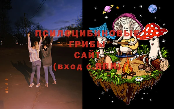 тгк Алзамай