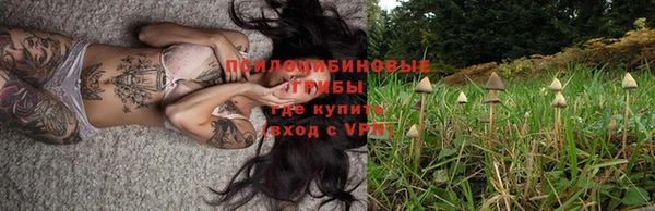 ECSTASY Алексеевка