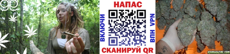 Конопля SATIVA & INDICA  сколько стоит  Починок 